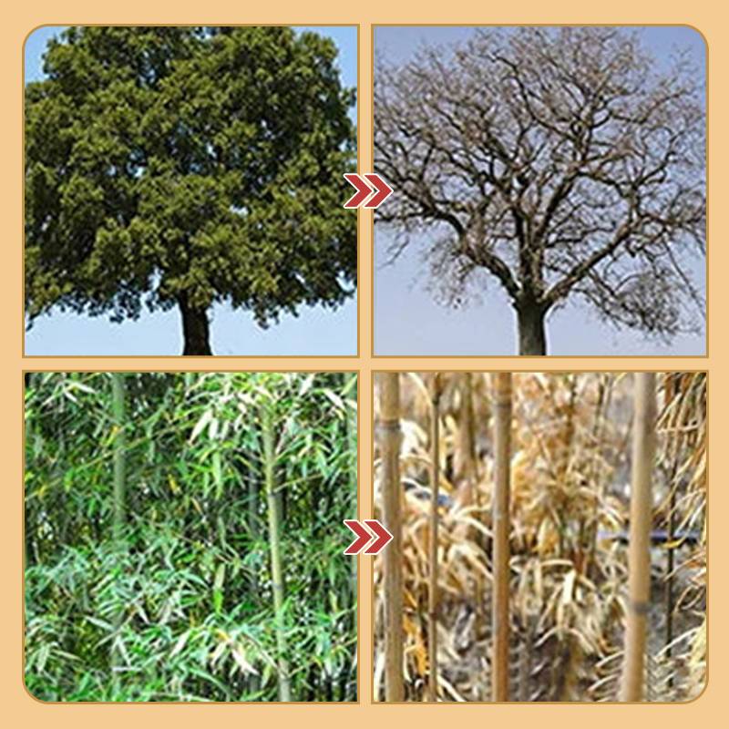 Cyclosinone Herbicide Granules 🔥 all type tree and grass